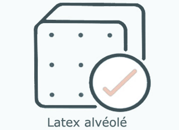 Latex Alveole